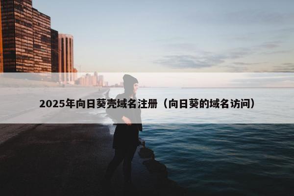 2025年向日葵壳域名注册（向日葵的域名访问）-第1张图片-冷动云
