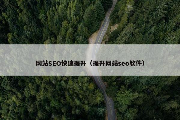 网站SEO快速提升（提升网站seo软件）-第1张图片-冷动云