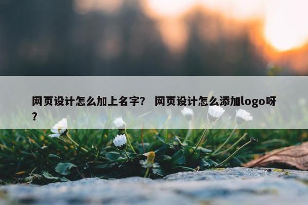 网页设计怎么加上名字？ 网页设计怎么添加logo呀？-第1张图片-冷动云