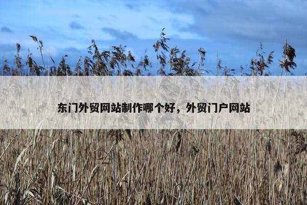 东门外贸网站制作哪个好，外贸门户网站-第1张图片-冷动云
