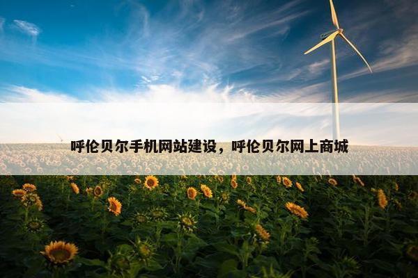 呼伦贝尔手机网站建设，呼伦贝尔网上商城-第1张图片-冷动云