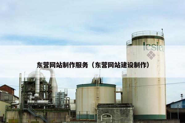 东营网站制作服务（东营网站建设制作）-第1张图片-冷动云