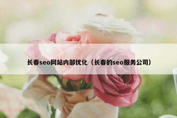 长春seo网站内部优化（长春的seo服务公司）-第1张图片-冷动云