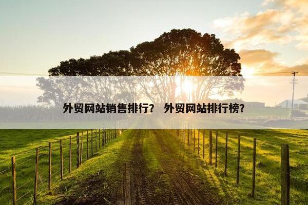 外贸网站销售排行？ 外贸网站排行榜？-第1张图片-冷动云