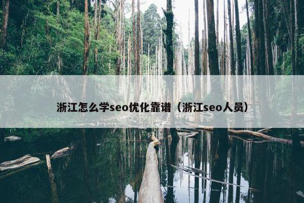 浙江怎么学seo优化靠谱（浙江seo人员）-第1张图片-冷动云