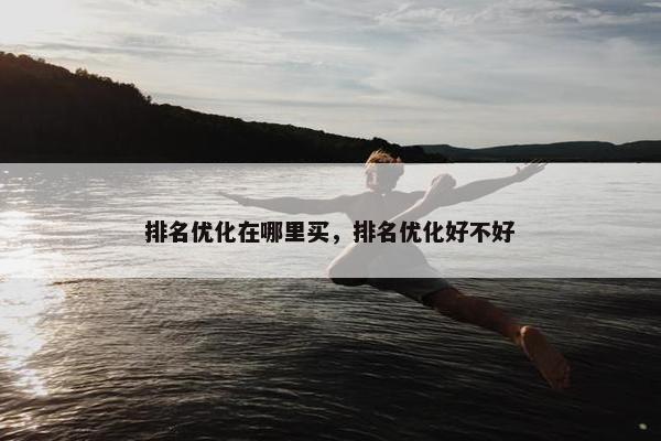 排名优化在哪里买，排名优化好不好-第1张图片-冷动云