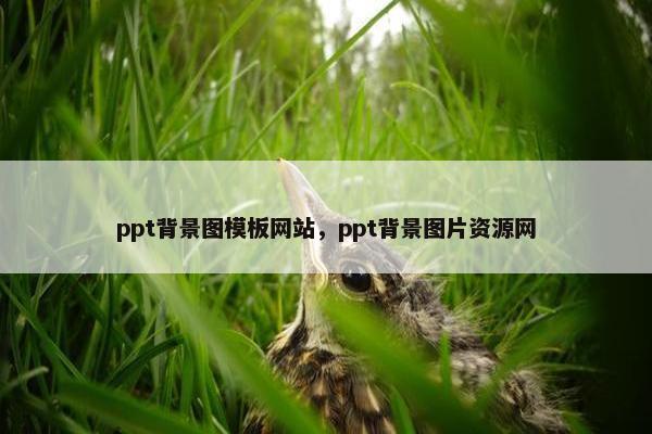 ppt背景图模板网站，ppt背景图片资源网-第1张图片-冷动云