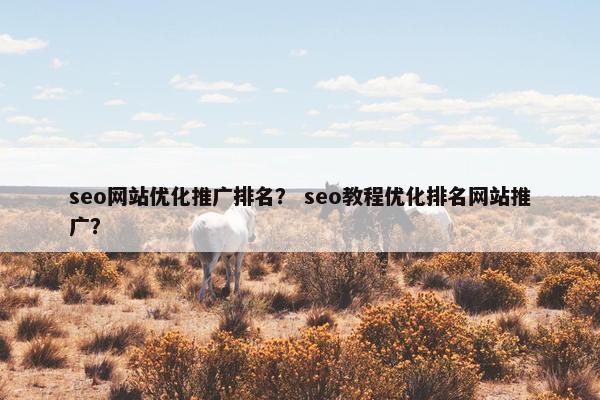 seo网站优化推广排名？ seo教程优化排名网站推广？-第1张图片-冷动云