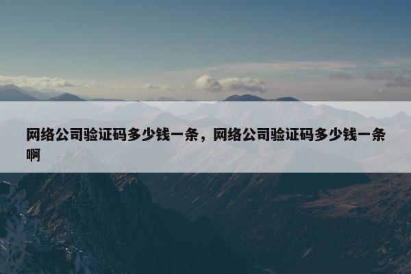 网络公司验证码多少钱一条，网络公司验证码多少钱一条啊-第1张图片-冷动云