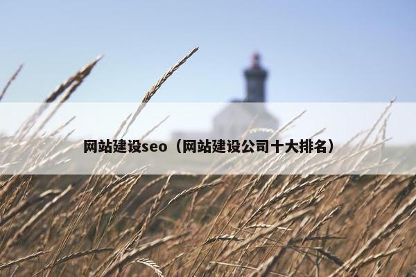网站建设seo（网站建设公司十大排名）-第1张图片-冷动云
