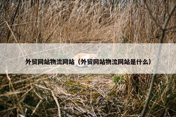 外贸网站物流网站（外贸网站物流网站是什么）-第1张图片-冷动云