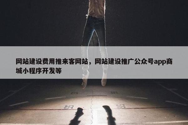 网站建设费用推来客网站，网站建设推广公众号app商城小程序开发等-第1张图片-冷动云