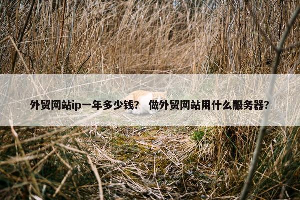 外贸网站ip一年多少钱？ 做外贸网站用什么服务器？-第1张图片-冷动云