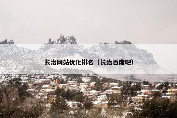 长治网站优化排名（长治百度吧）-第1张图片-冷动云