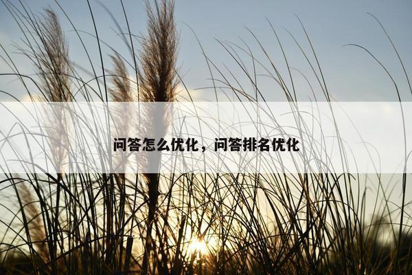问答怎么优化，问答排名优化-第1张图片-冷动云
