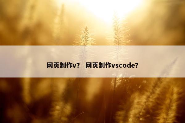 网页制作v？ 网页制作vscode？-第1张图片-冷动云