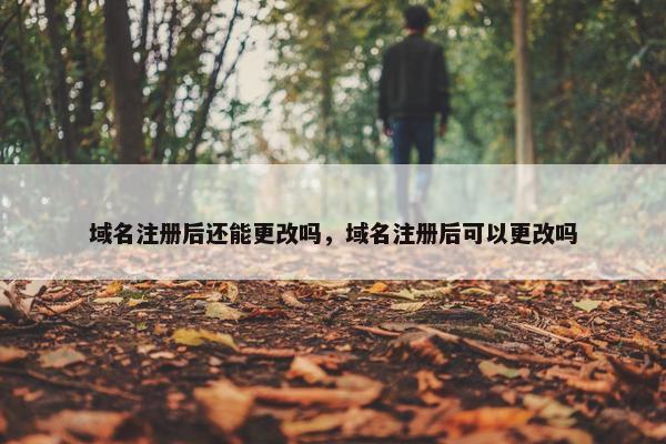域名注册后还能更改吗，域名注册后可以更改吗-第1张图片-冷动云