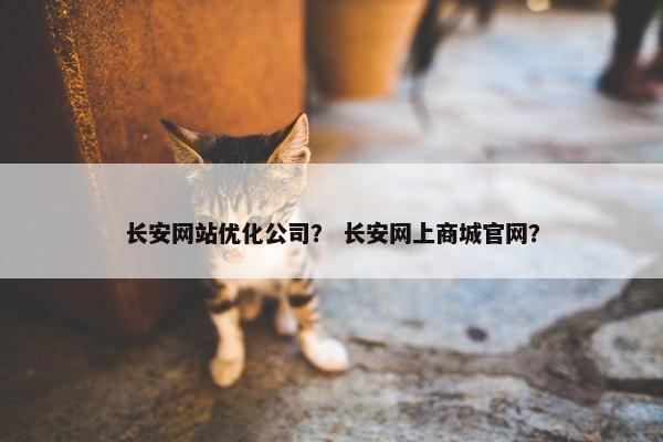 长安网站优化公司？ 长安网上商城官网？-第1张图片-冷动云