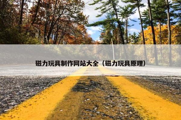 磁力玩具制作网站大全（磁力玩具原理）-第1张图片-冷动云