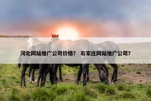 河北网站推广公司价格？ 石家庄网站推广公司？-第1张图片-冷动云