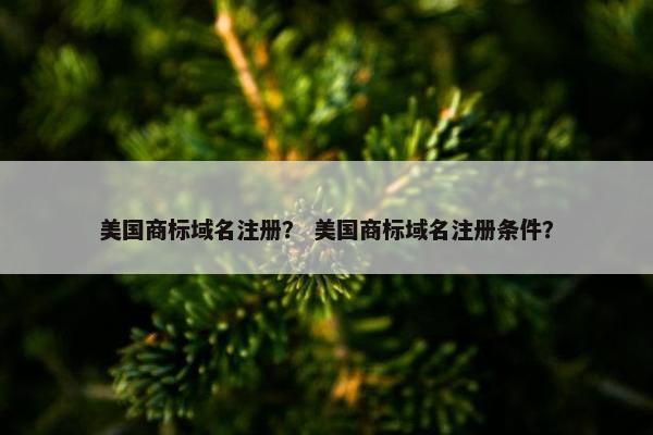 美国商标域名注册？ 美国商标域名注册条件？-第1张图片-冷动云