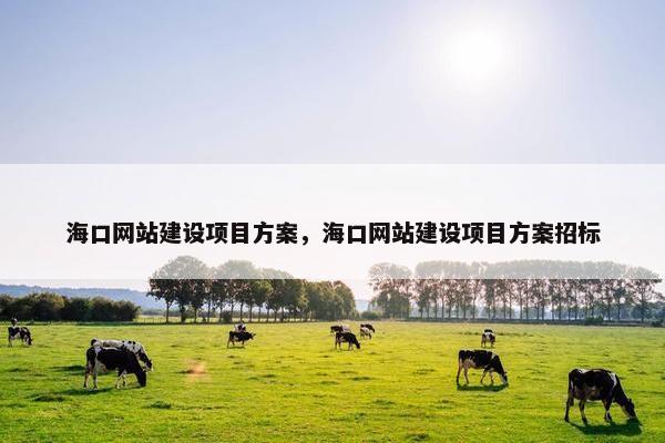 海口网站建设项目方案，海口网站建设项目方案招标-第1张图片-冷动云