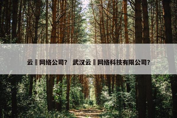 云喆网络公司？ 武汉云喆网络科技有限公司？-第1张图片-冷动云