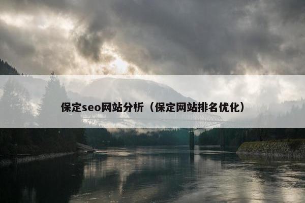 保定seo网站分析（保定网站排名优化）-第1张图片-冷动云