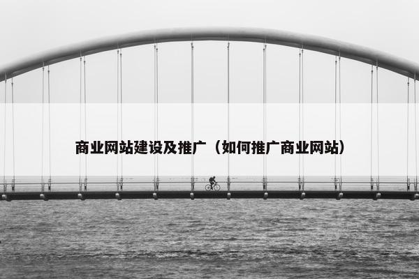 商业网站建设及推广（如何推广商业网站）-第1张图片-冷动云