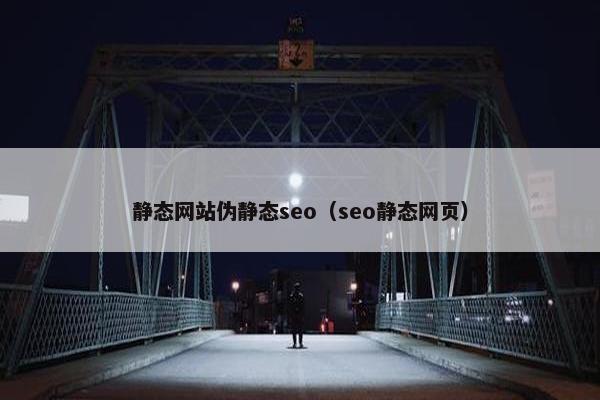 静态网站伪静态seo（seo静态网页）-第1张图片-冷动云