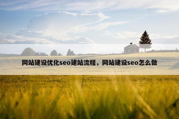 网站建设优化seo建站流程，网站建设seo怎么做-第1张图片-冷动云