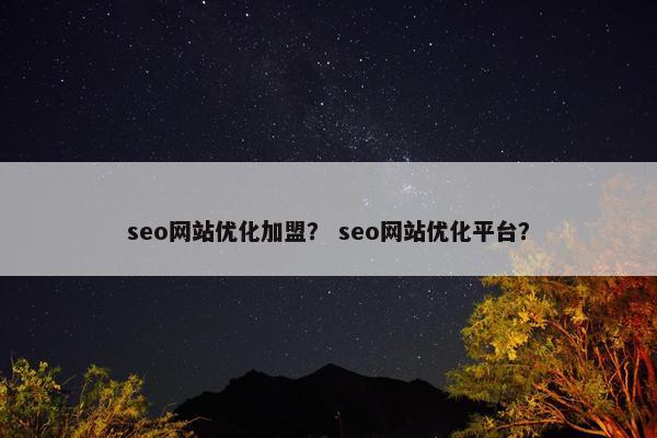 seo网站优化加盟？ seo网站优化平台？-第1张图片-冷动云