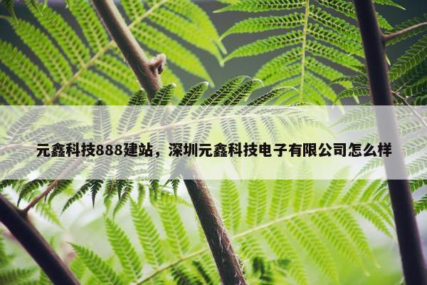 元鑫科技888建站，深圳元鑫科技电子有限公司怎么样-第1张图片-冷动云