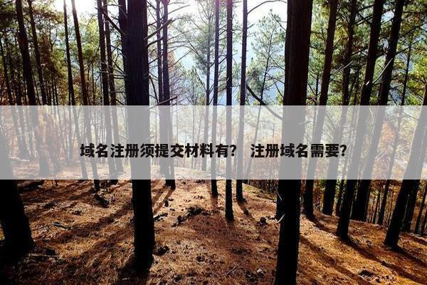 域名注册须提交材料有？ 注册域名需要？-第1张图片-冷动云