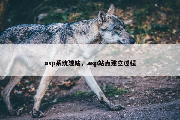 asp系统建站，asp站点建立过程-第1张图片-冷动云