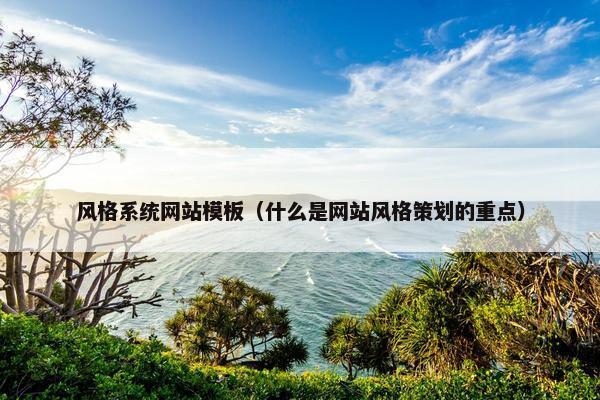 风格系统网站模板（什么是网站风格策划的重点）-第1张图片-冷动云