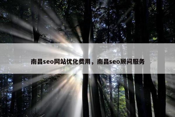 南昌seo网站优化费用，南昌seo顾问服务-第1张图片-冷动云