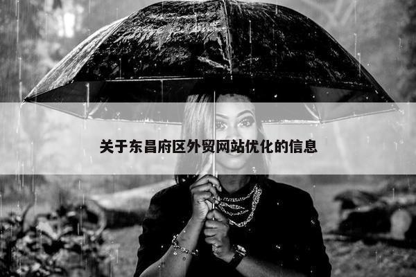 关于东昌府区外贸网站优化的信息-第1张图片-冷动云