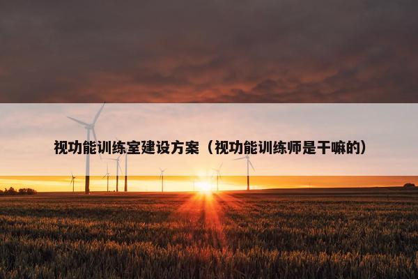 视功能训练室建设方案（视功能训练师是干嘛的）-第1张图片-冷动云