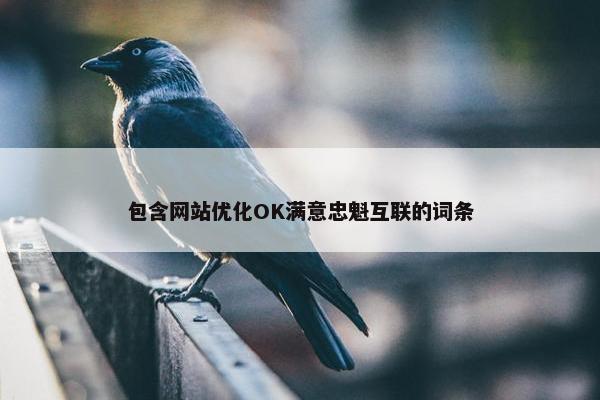包含网站优化OK满意忠魁互联的词条-第1张图片-冷动云