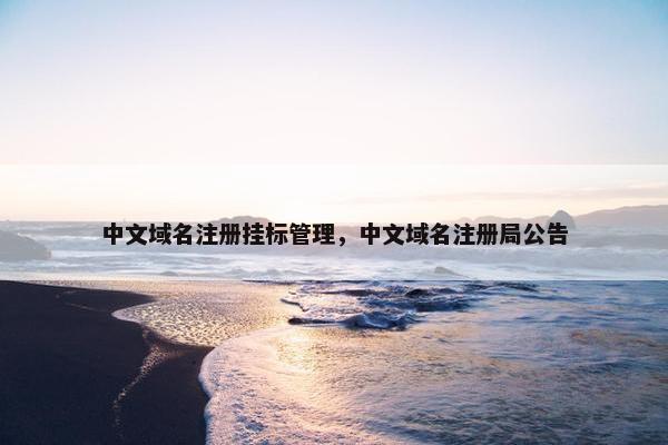 中文域名注册挂标管理，中文域名注册局公告-第1张图片-冷动云