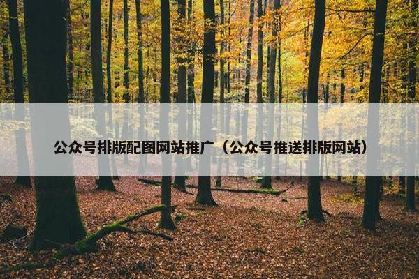 公众号排版配图网站推广（公众号推送排版网站）-第1张图片-冷动云