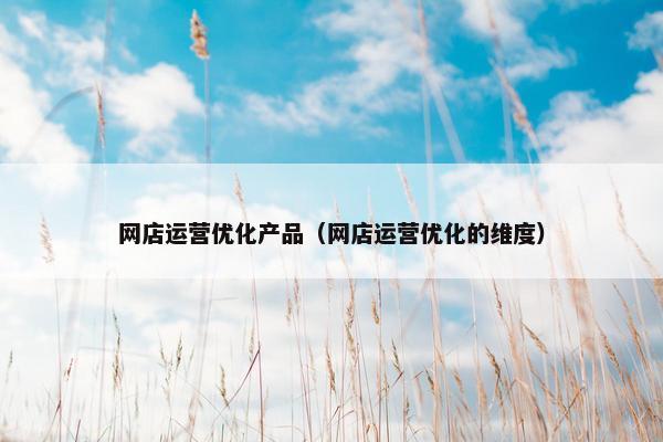 网店运营优化产品（网店运营优化的维度）-第1张图片-冷动云