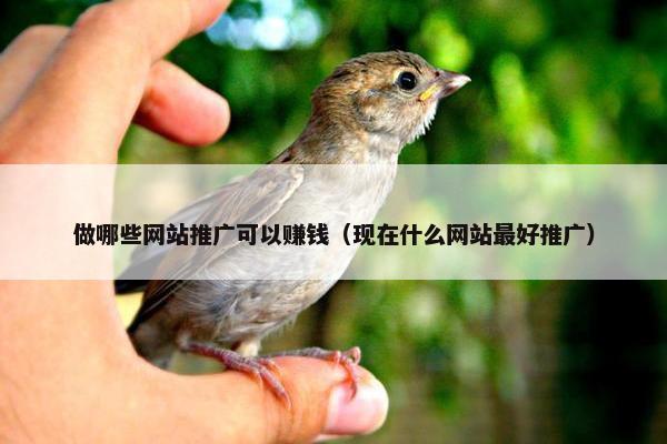 做哪些网站推广可以赚钱（现在什么网站最好推广）-第1张图片-冷动云