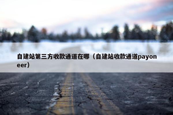 自建站第三方收款通道在哪（自建站收款通道payoneer）-第1张图片-冷动云