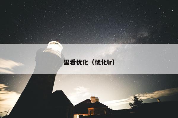 里看优化（优化lr）-第1张图片-冷动云