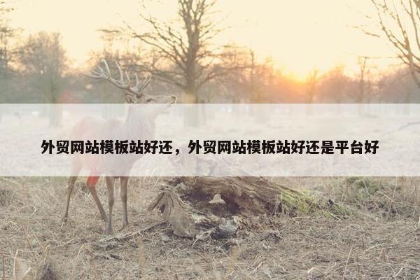 外贸网站模板站好还，外贸网站模板站好还是平台好-第1张图片-冷动云