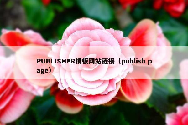 PUBLISHER模板网站链接（publish page）-第1张图片-冷动云