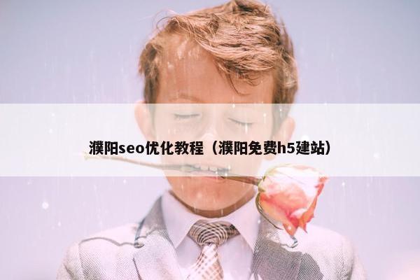 濮阳seo优化教程（濮阳免费h5建站）-第1张图片-冷动云