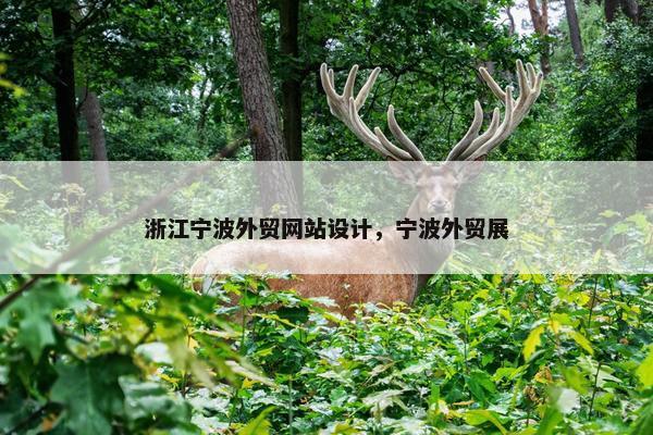 浙江宁波外贸网站设计，宁波外贸展-第1张图片-冷动云